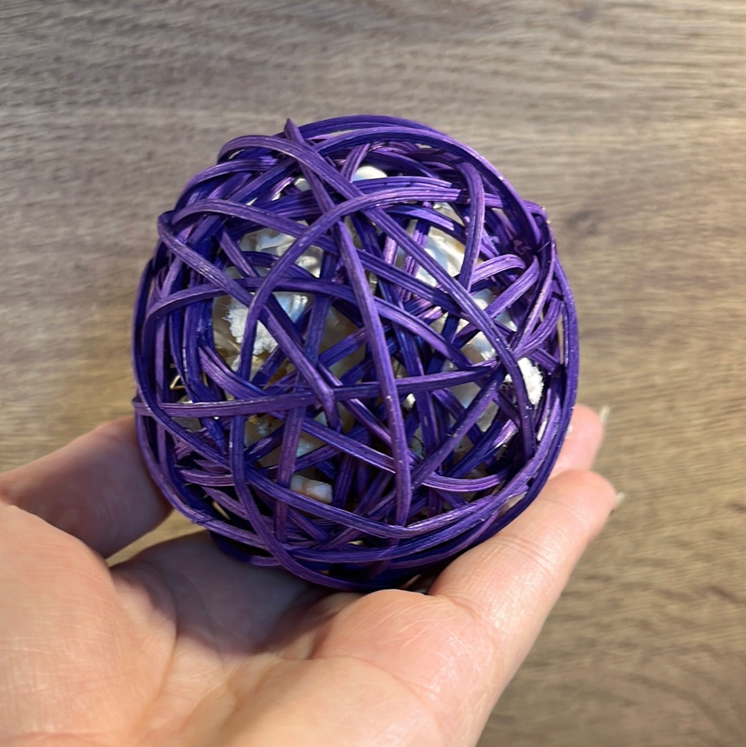 Foraging Ball