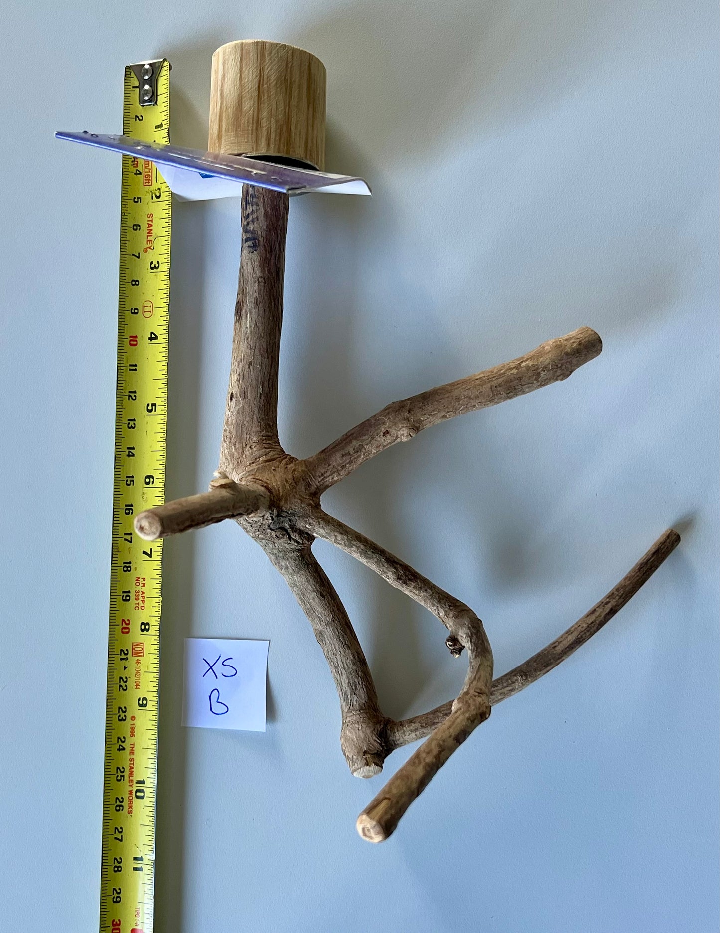 Java Wood Multibranches