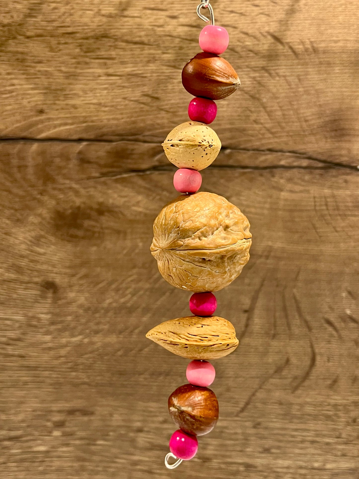 Go Nutty - Shelled Nut Chew Toy