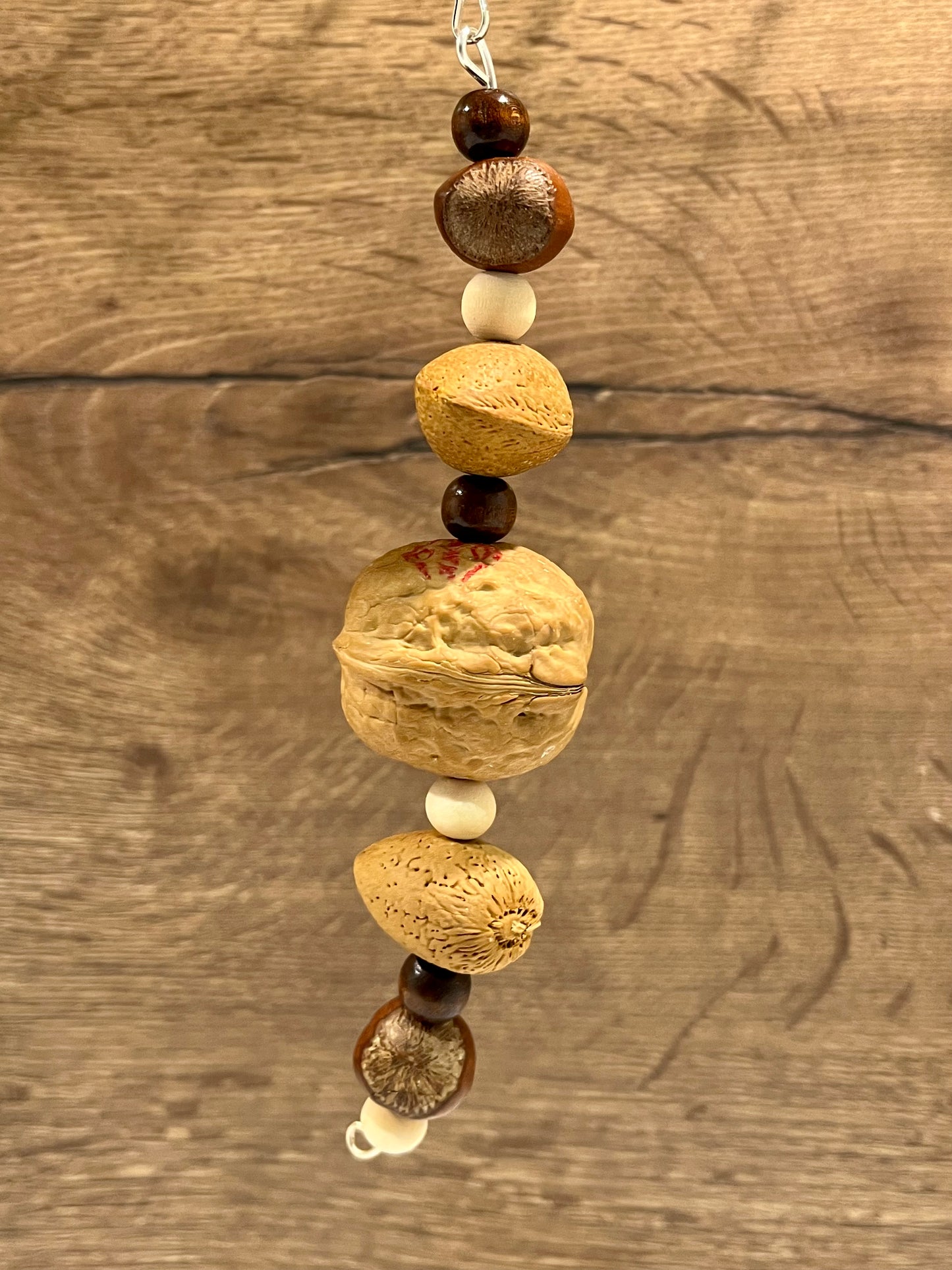 Go Nutty - Shelled Nut Chew Toy
