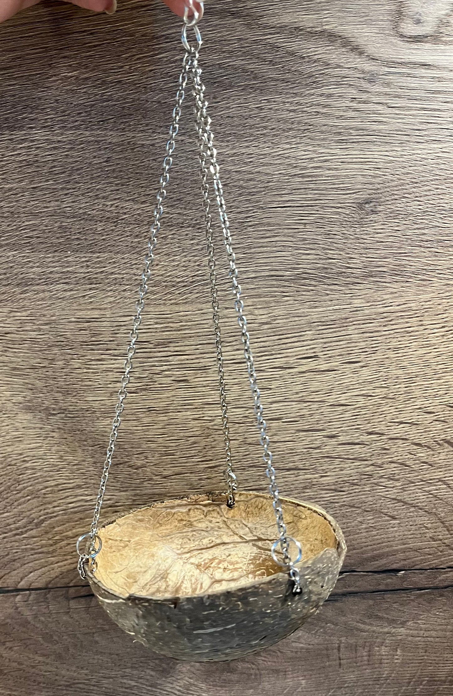Hanging Coconut Bowl