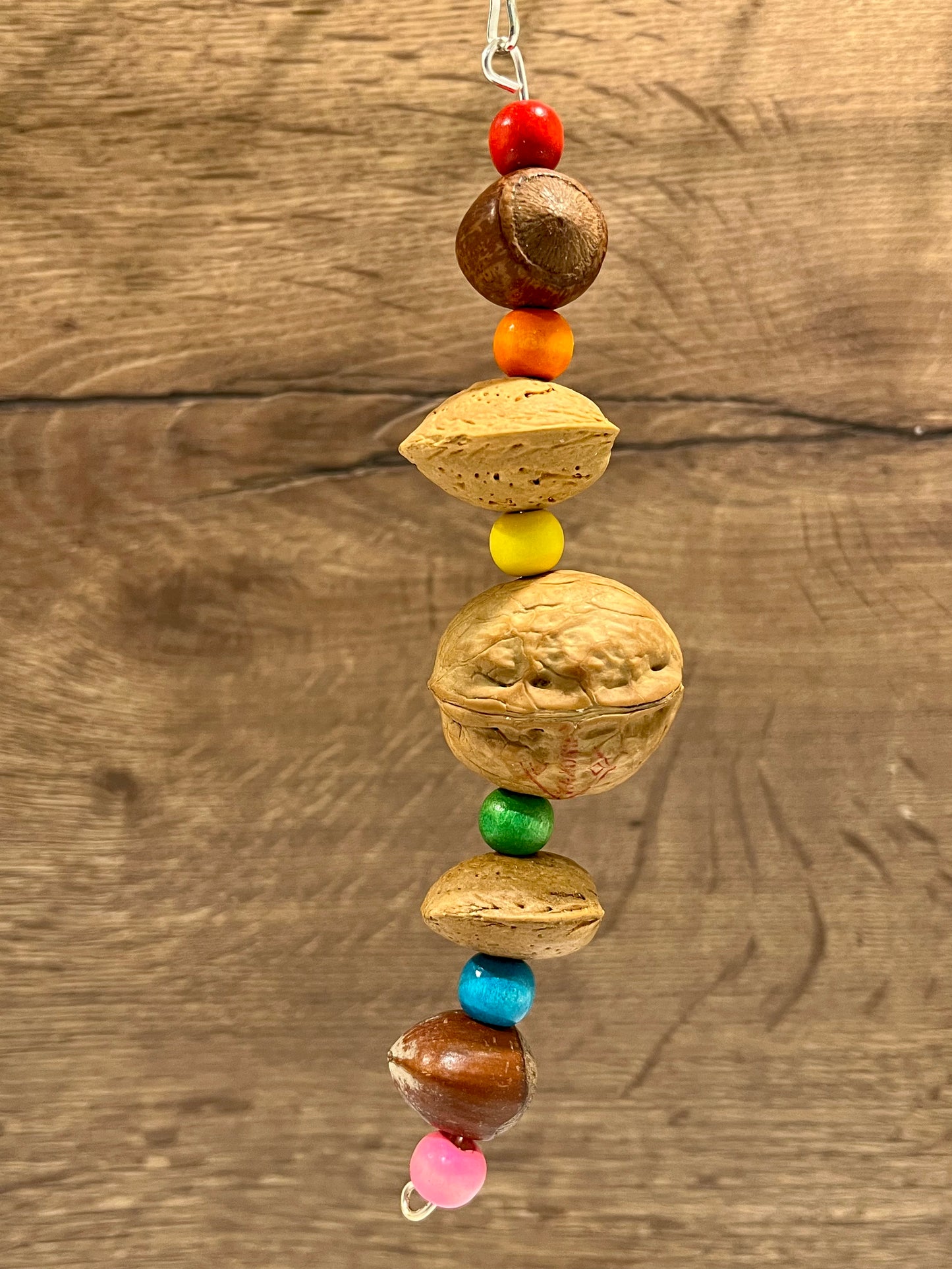 Go Nutty - Shelled Nut Chew Toy