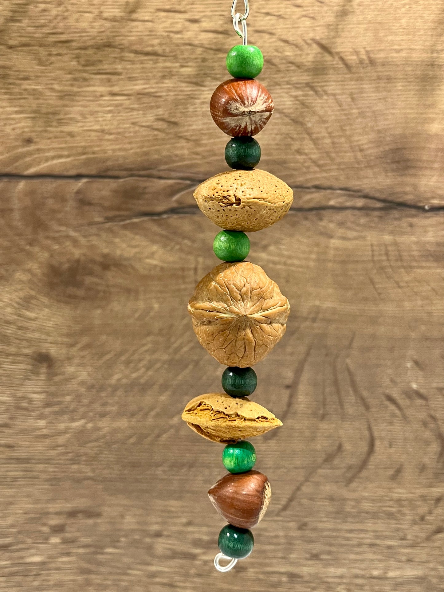 Go Nutty - Shelled Nut Chew Toy