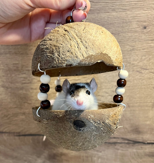 Coconut Condo