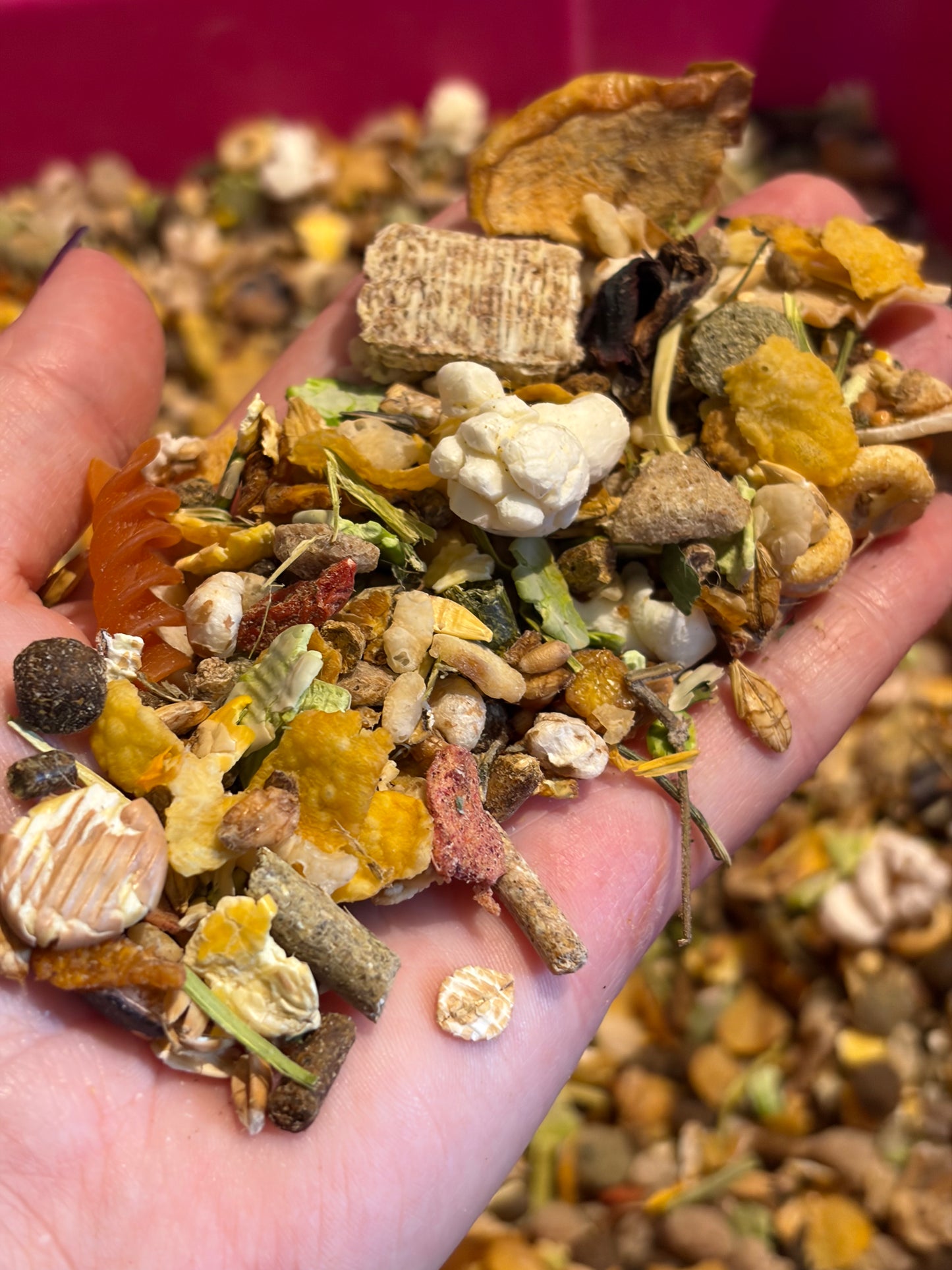 Rat Food Mix
