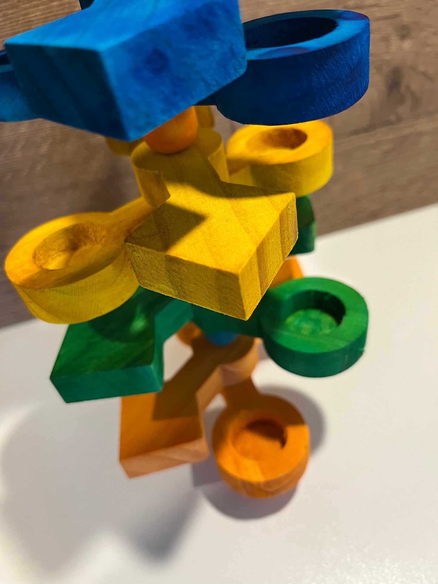 Hide N Seek Foraging Toy