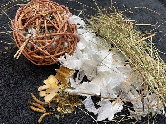 Foraging Ball