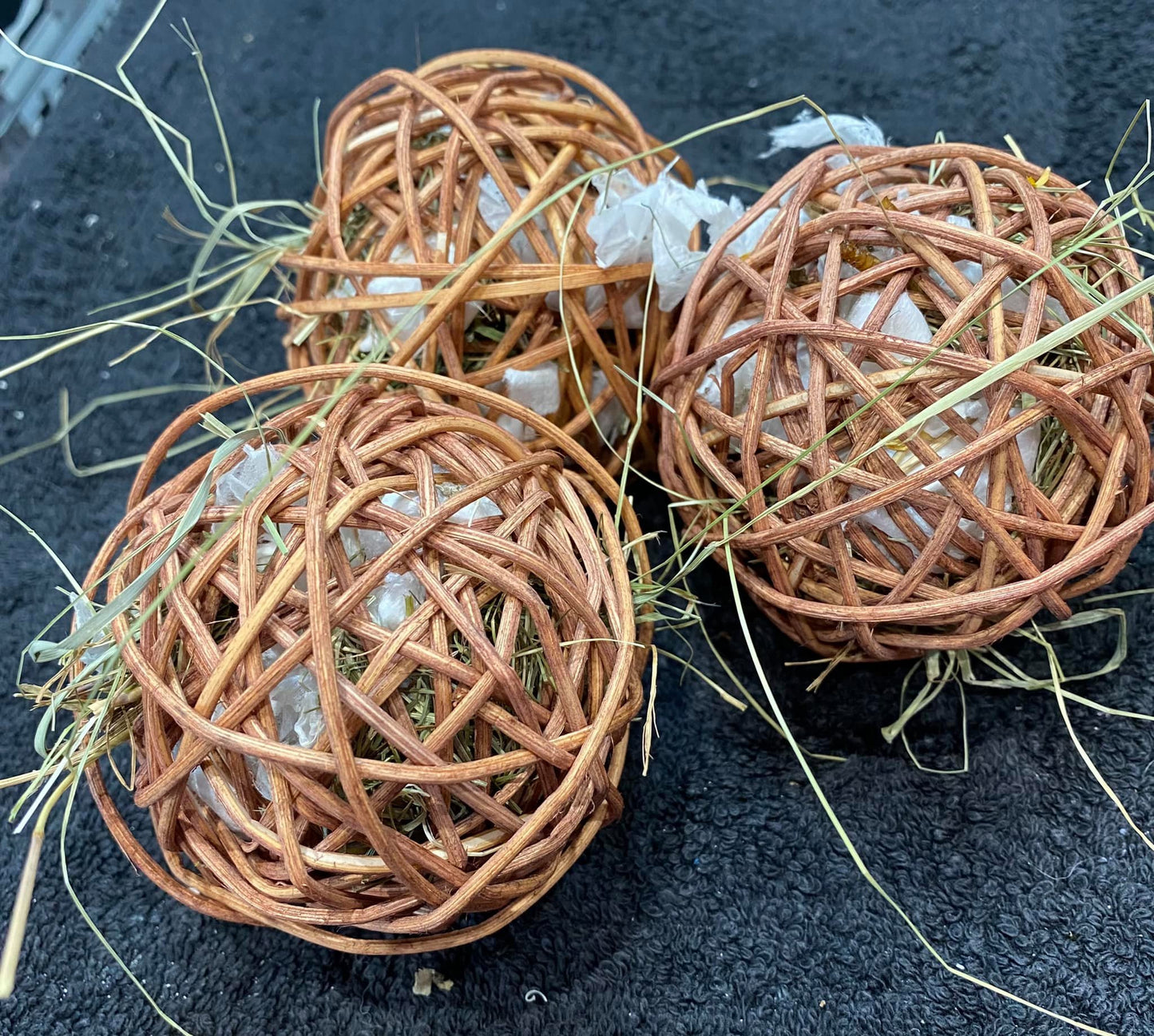 Foraging Ball