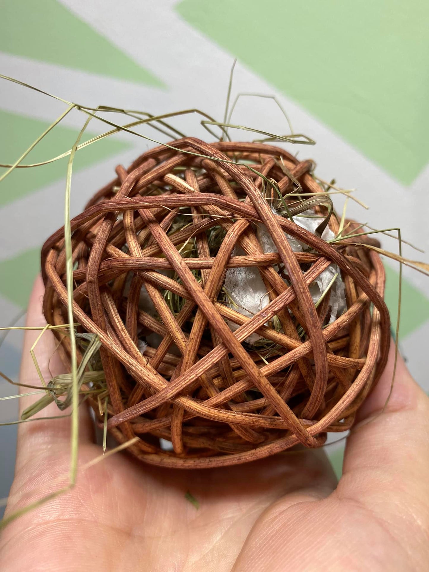 Foraging Ball