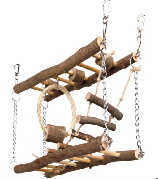 Activity Ladder Toy