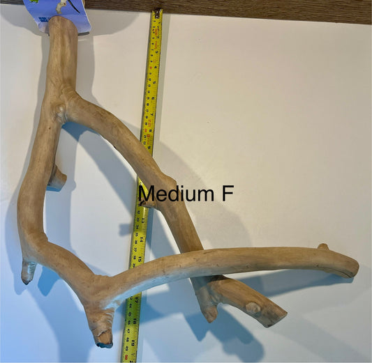 Java Wood Multibranches