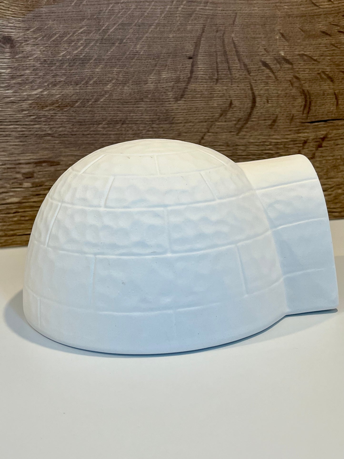 Igloo With Cooling Plate