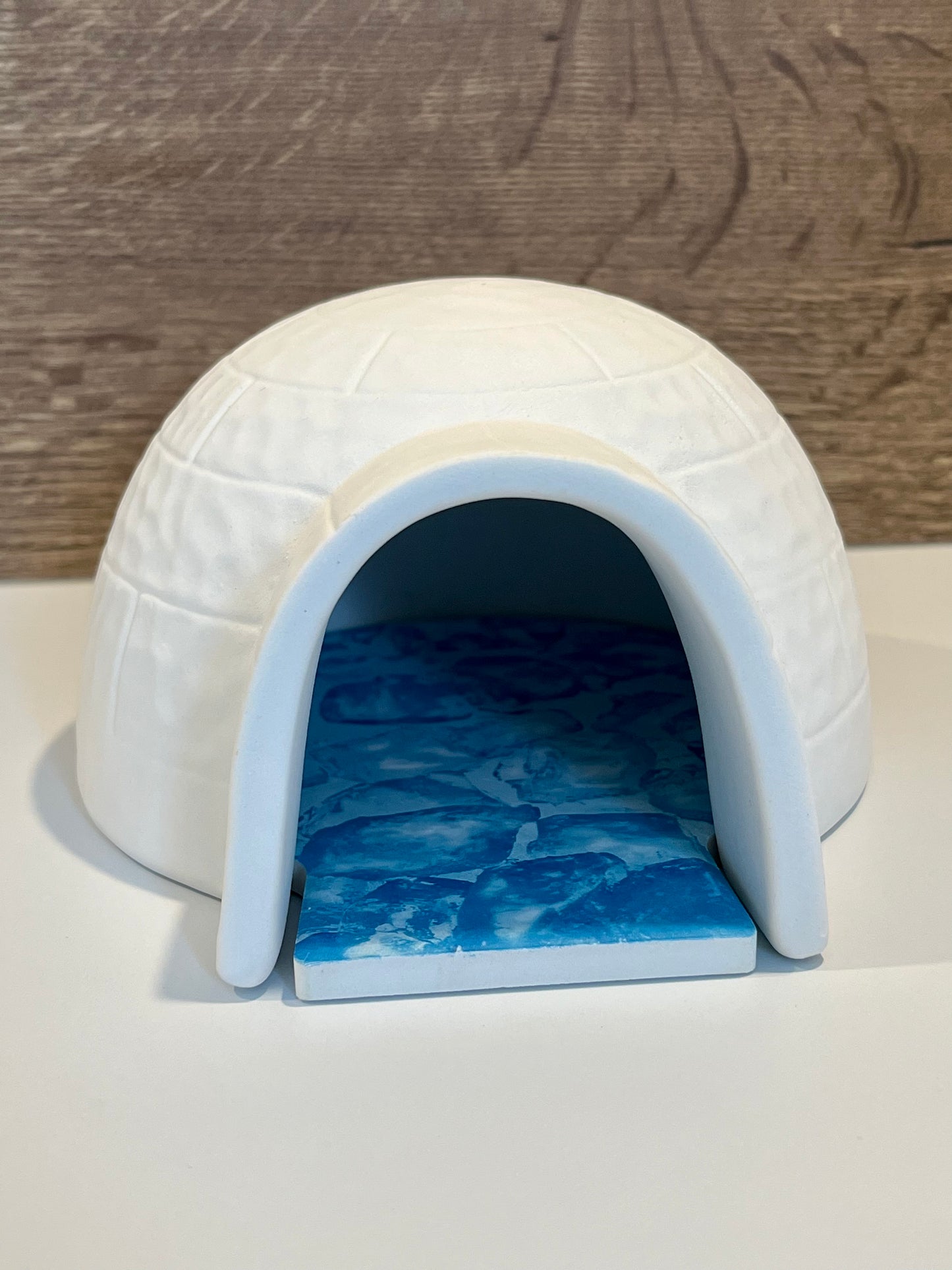 Igloo With Cooling Plate