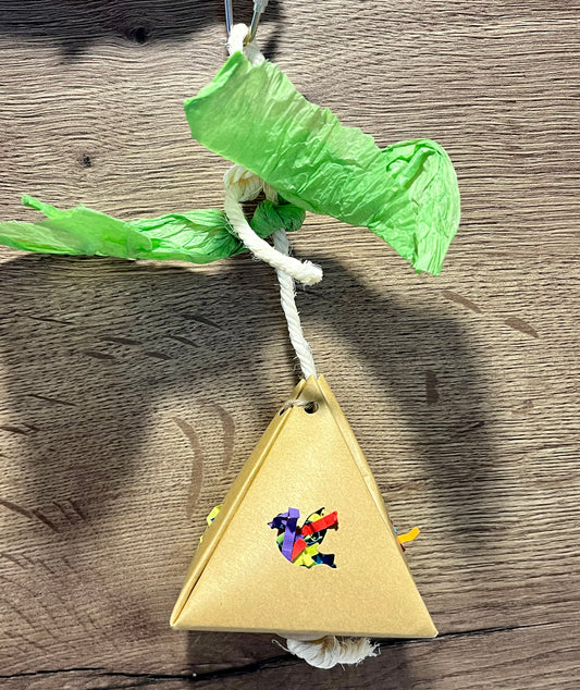 Pyramid Foraging Toy