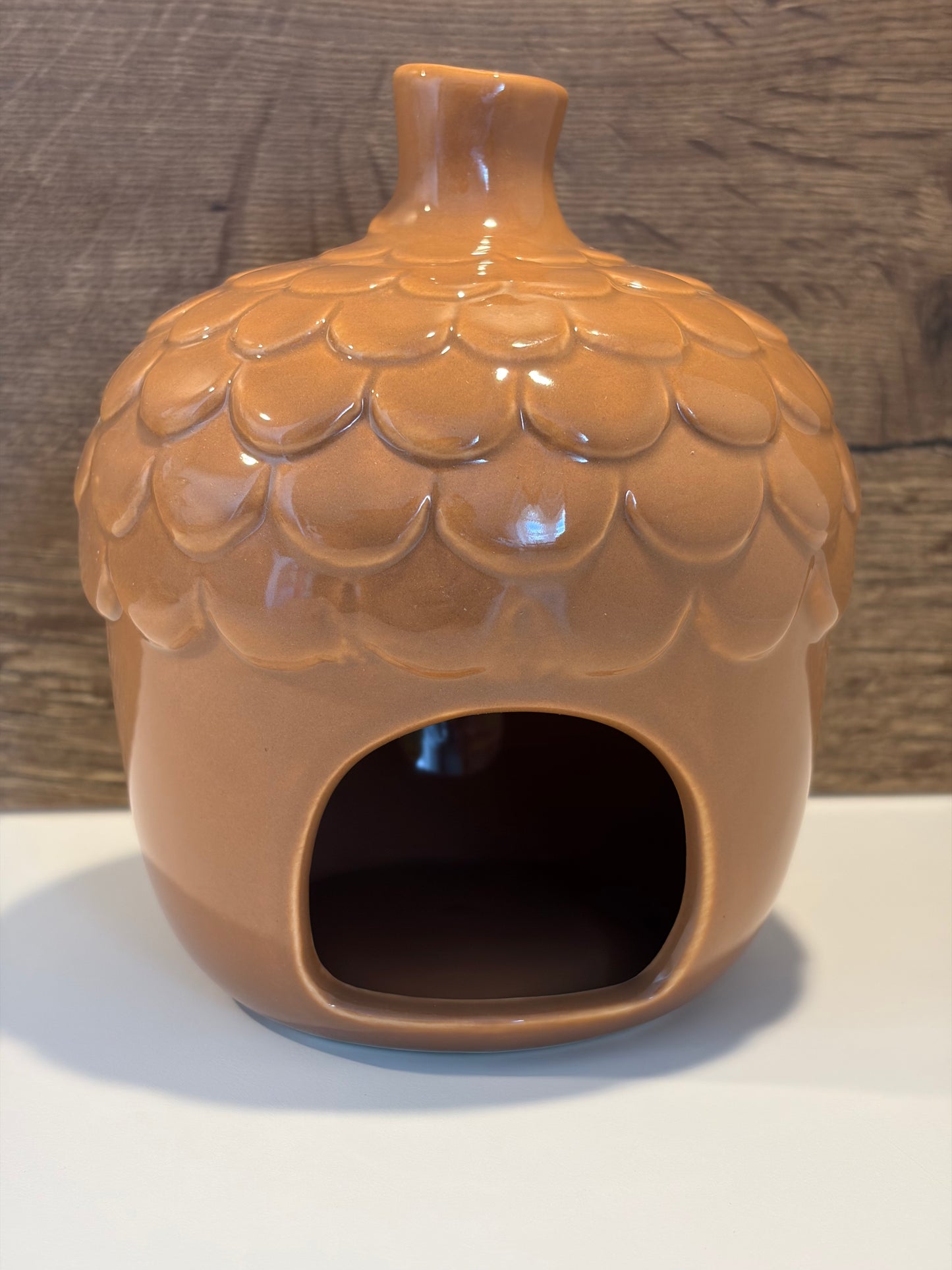 Ceramic Acorn House