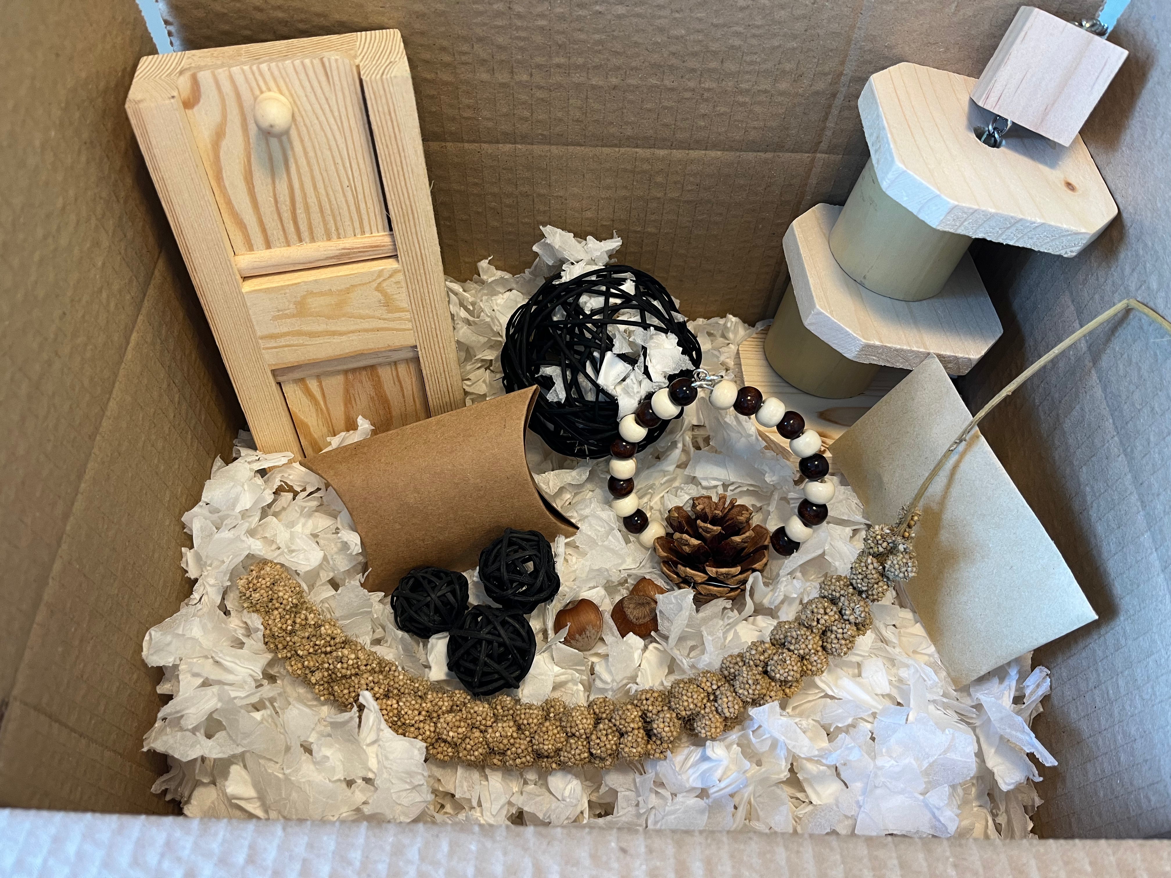 The Ultimate Foraging Box – Ratcessories Pet Toys