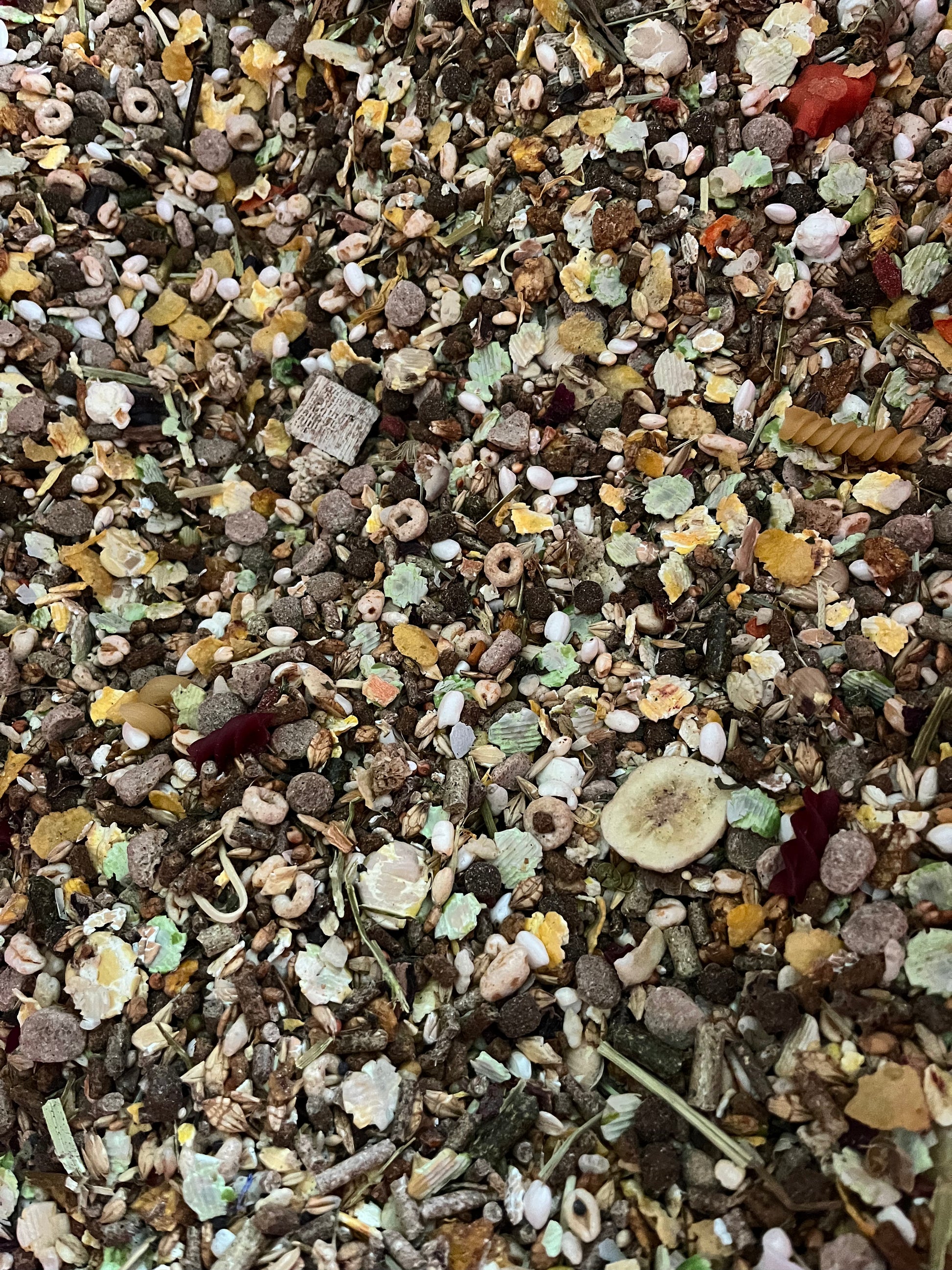 Mixture Rats Rat Food Mix – Ratcessories Pet Toys