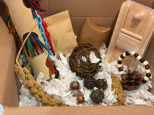 The Ultimate Foraging Box