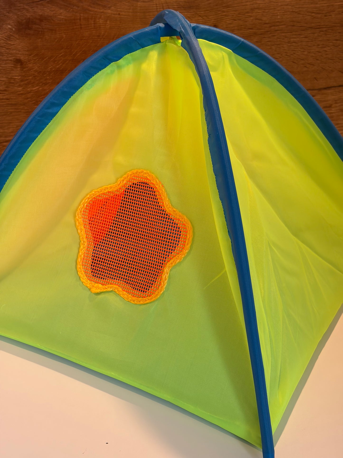 Pop Up Tent