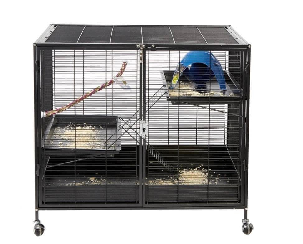 Ferret 2024 cage toys