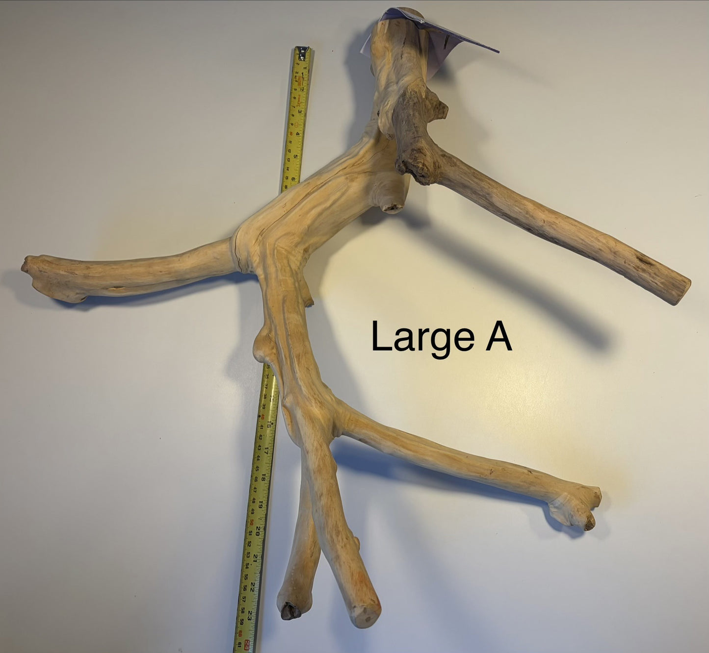 Java Wood Multibranches