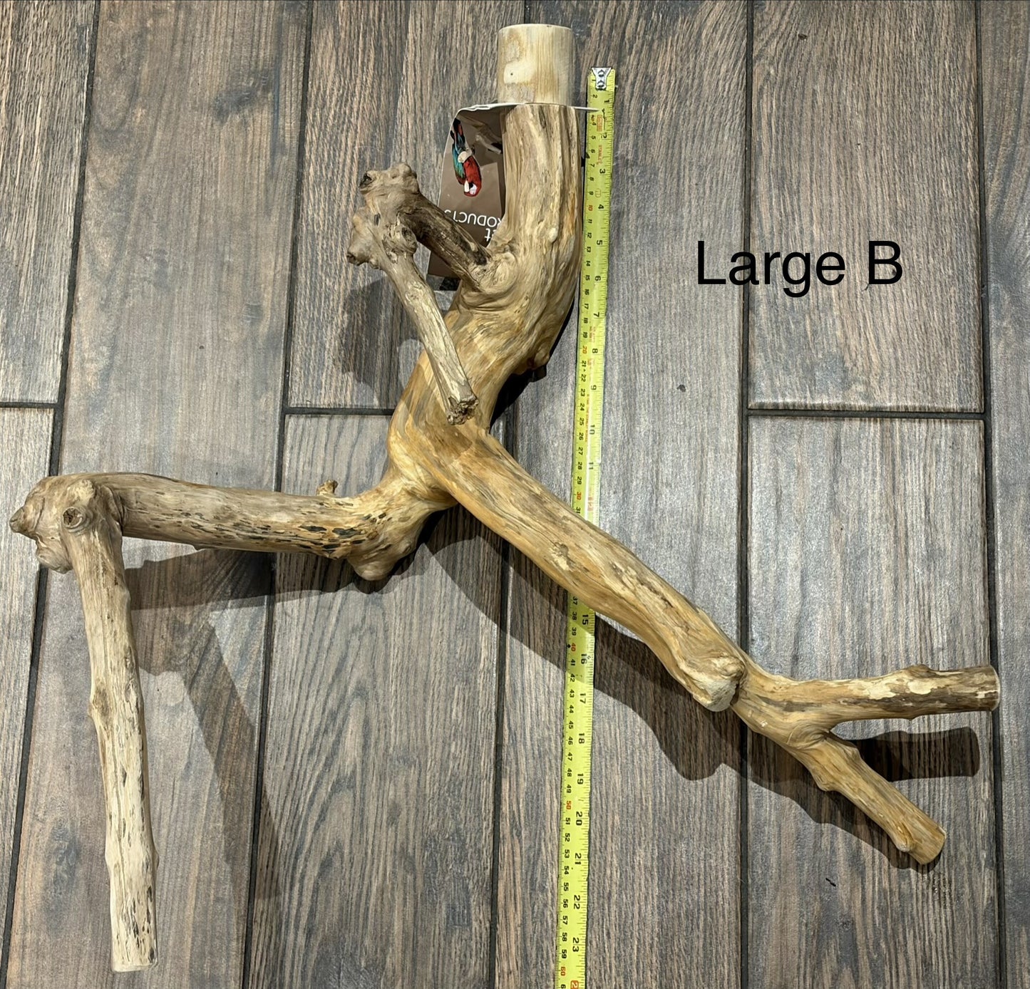 Java Wood Multibranches