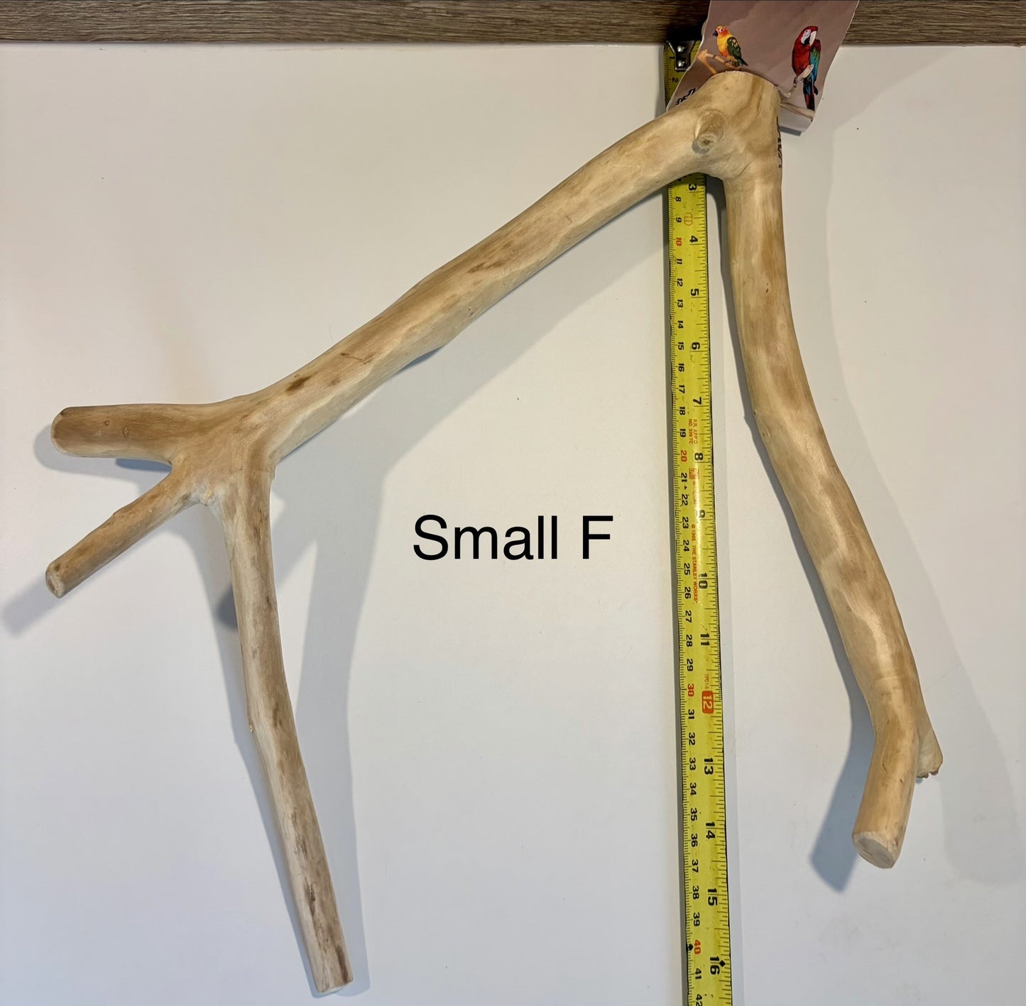 Java Wood Multibranches