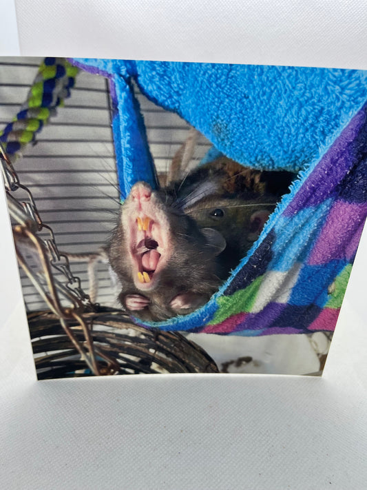 Rat Greeting Cards